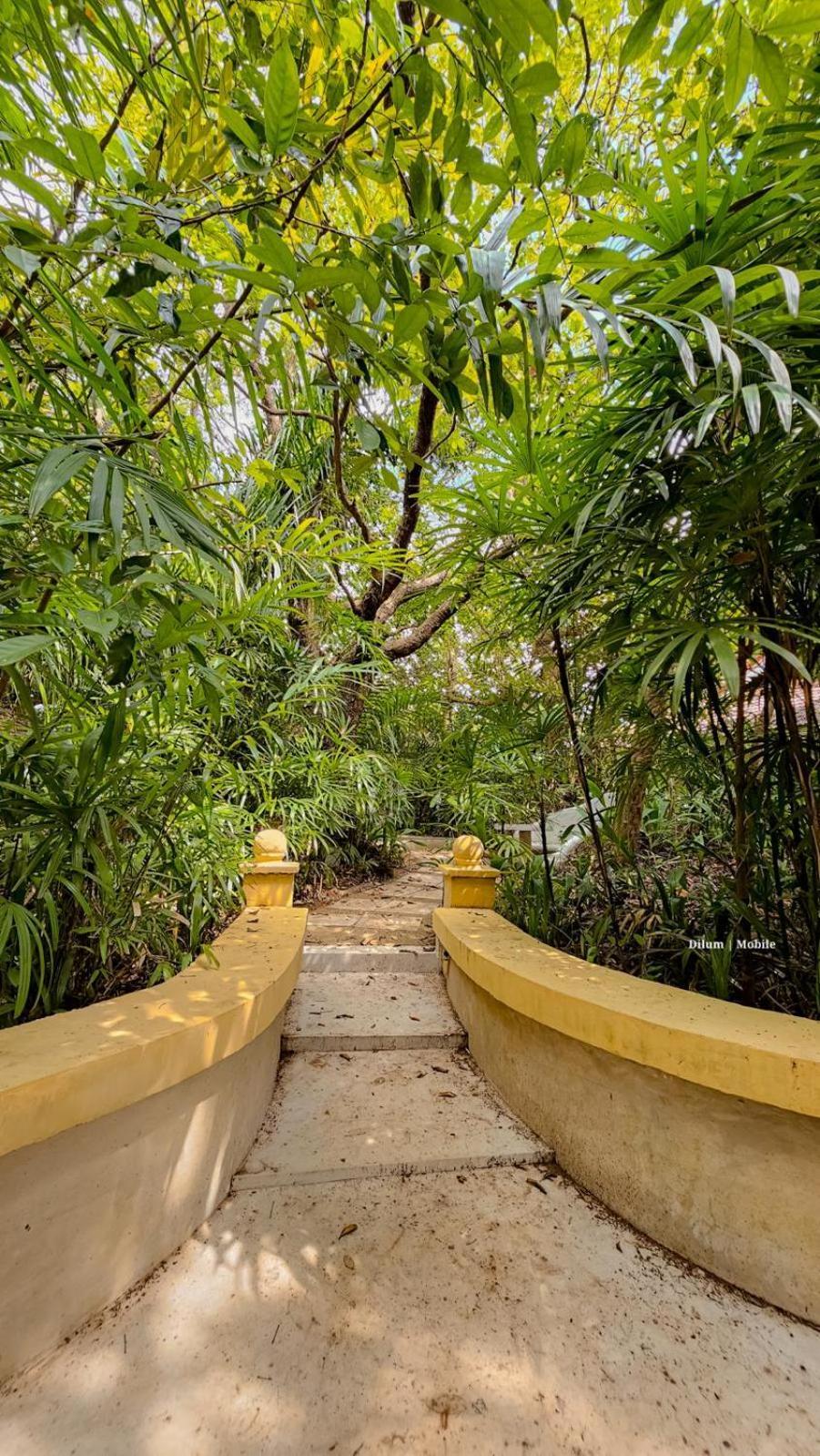 Ceylon Kingsmen Garden Hotel - Katunayake Negombo Bagian luar foto