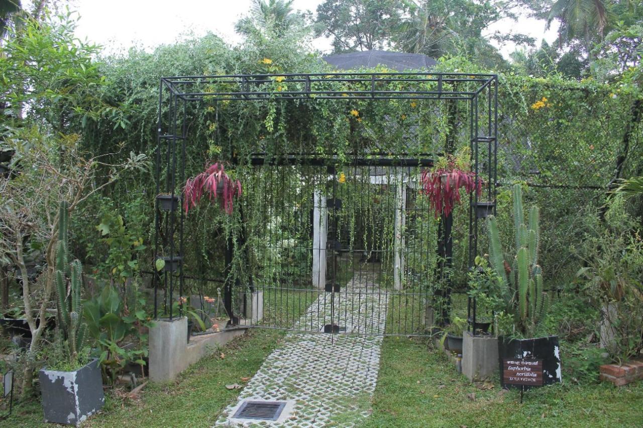 Ceylon Kingsmen Garden Hotel - Katunayake Negombo Bagian luar foto